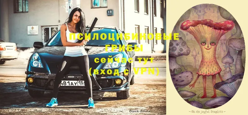 Галлюциногенные грибы мухоморы  omg как войти  Зеленогорск 